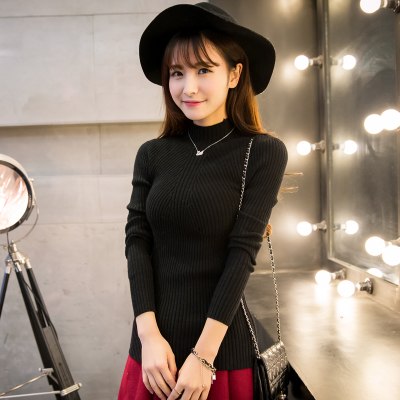 Women Winter High Elastic Slim Sweater - Black / Free - Shopaholics